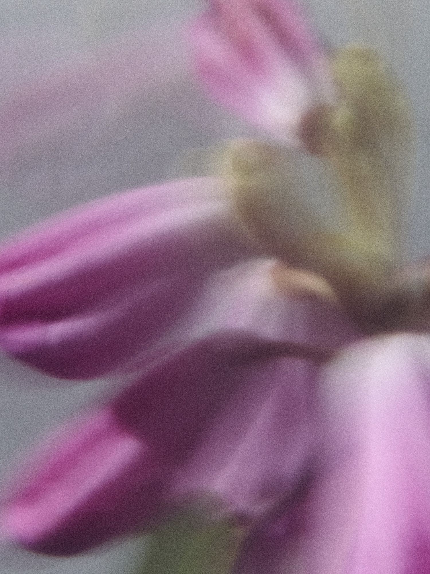 blomst